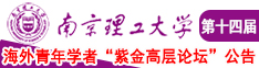 俺就要鲁就要鲁就要啪南京理工大学第十四届海外青年学者紫金论坛诚邀海内外英才！